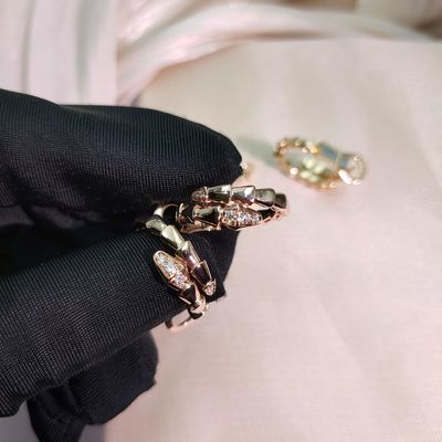 Gioielli di alta qualità orecchini BVL Diamant Gemstone con VVS Diamant Clarity e Medium Size
